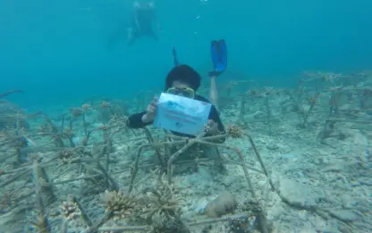 Jaga Ekosistem Pesisir, Telkom Laksanakan Konservasi Terumbu Karang Di Pulau Tunda, Banten